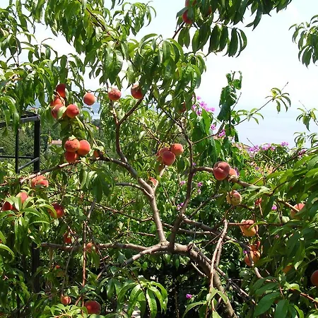 Vacation Lucija Apartamento