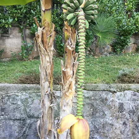 Vacation Lucija Slatina (Primorsko-Goranska)