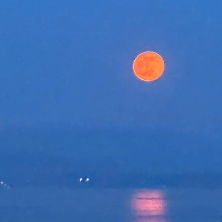 Daire Vacation Lucija *