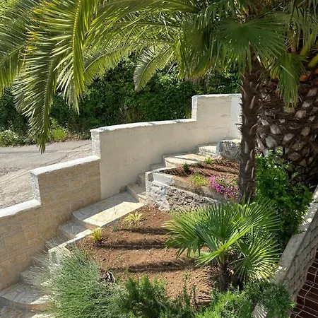 Vacation Lucija Daire