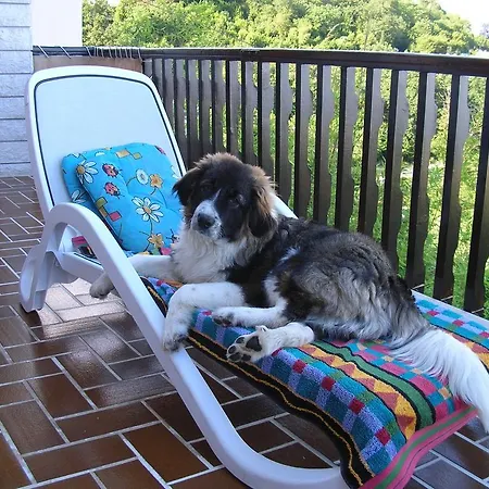 Vacation Lucija Daire