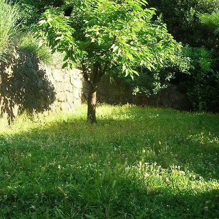 Vacation Lucija Daire